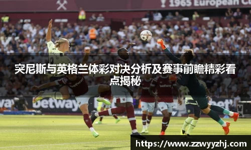 B体育bsports