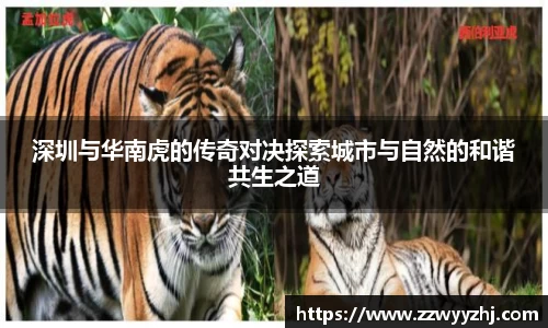 深圳与华南虎的传奇对决探索城市与自然的和谐共生之道