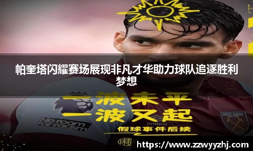 bsports官网入口