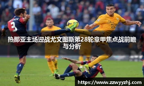 B体育bsports